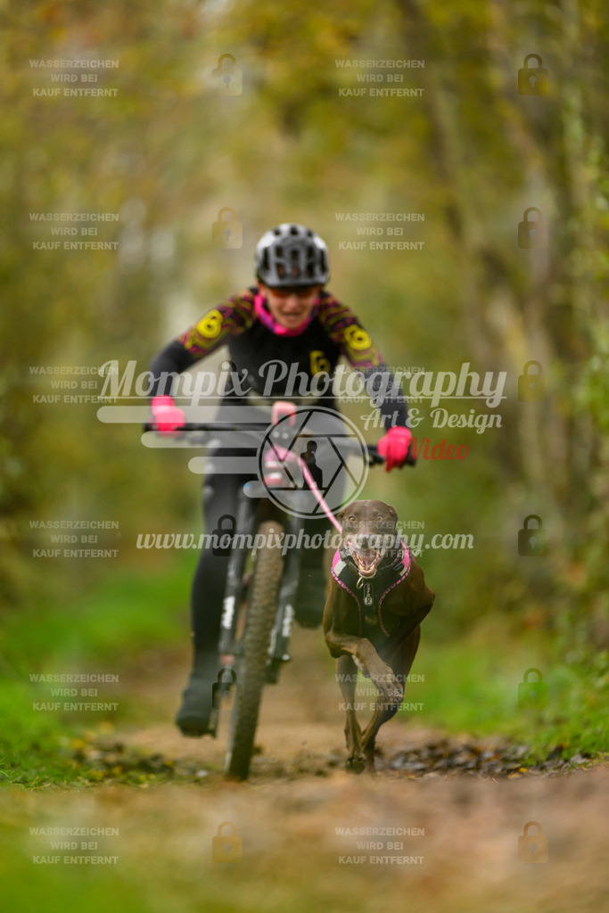 MompixPhotography_20TSB_E6_Bike-50 | PayLife