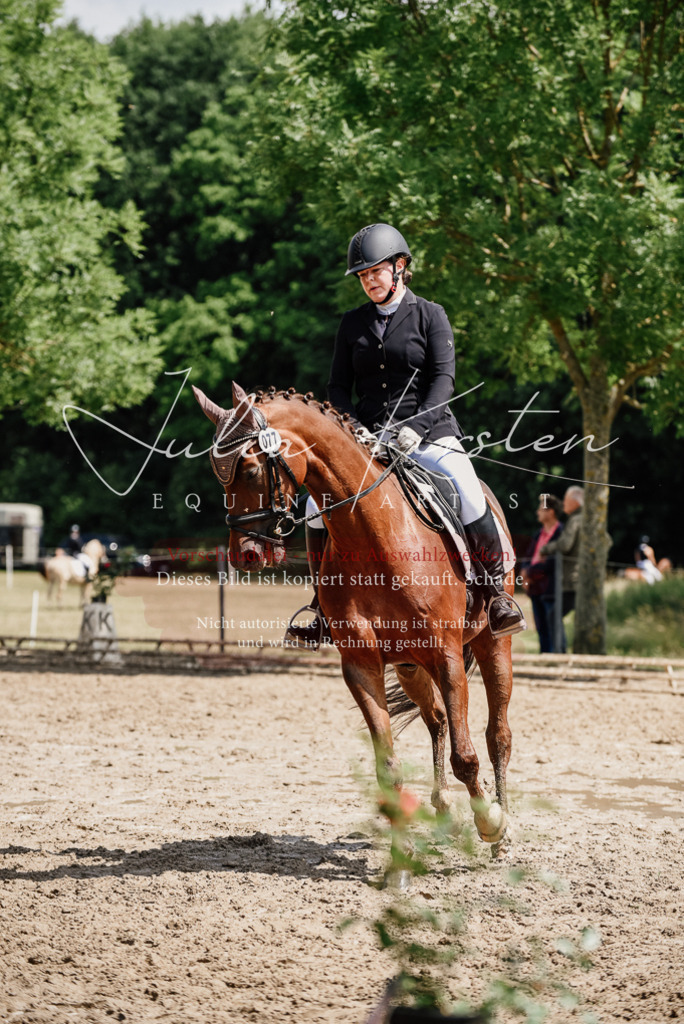 DSC_1283 | Pferde- und Turnierfotografie in Westsachsen. Pferdeportraits, Auftragszeichnungen und intuitive Kunst.