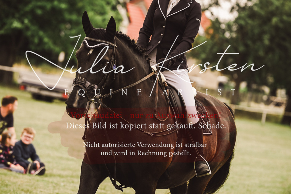 DSC_4983 | Pferde- und Turnierfotografie in Westsachsen. Pferdeportraits, Auftragszeichnungen und intuitive Kunst.