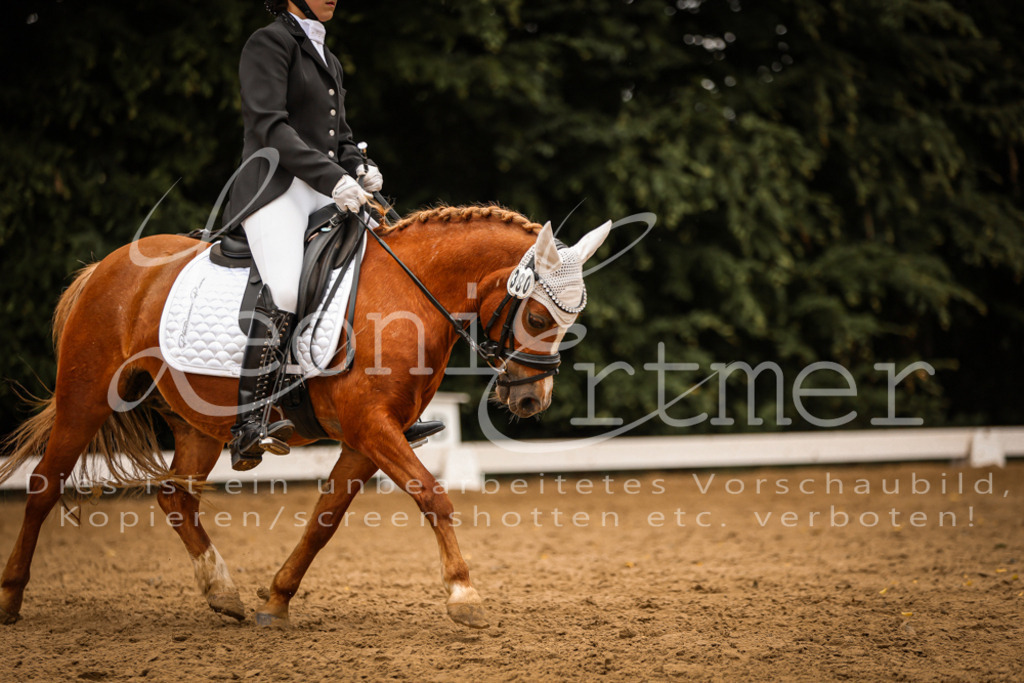 DoDrE00491 | Leoni Ertmer Photography - Realisiert mit Pictrs.com