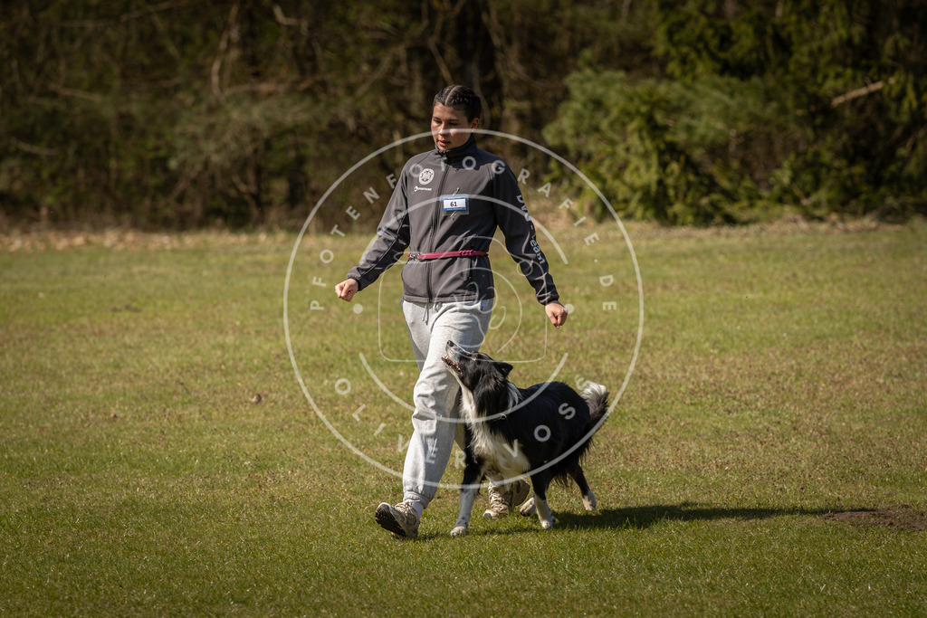 Pfotenfotografie_DV3A1043 | Hundefotografie, Tierfotograf, Pfotenfotografie, Fotoshooting Hund, Hunde Portrait, Hundesport, Hundeportraits, Heideshooting, Hunde, Sportfotograf, Hundefotograf, Turnierhundsport, THS,  - Realisiert mit Pictrs.com
