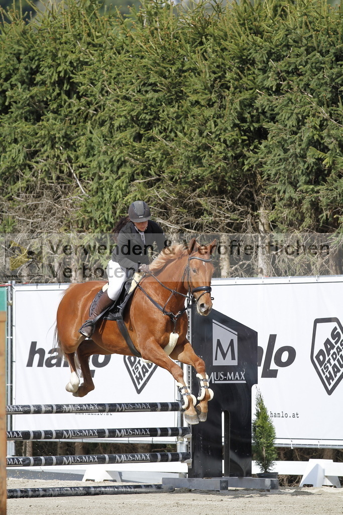 _MG_7808 | equestrian-live-com