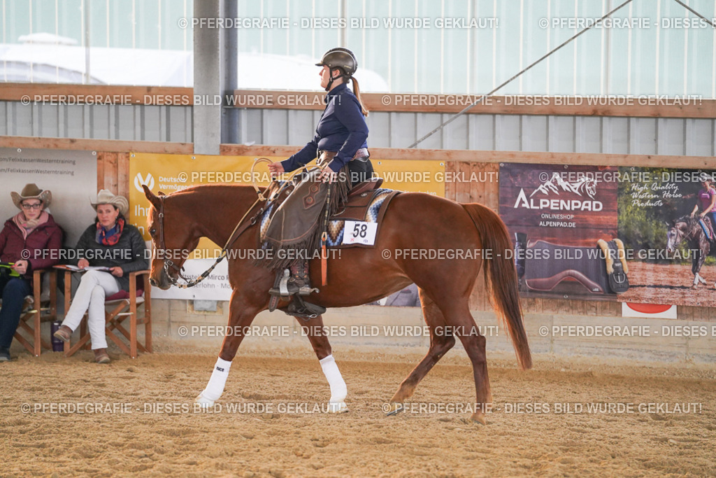 DSC08819 | Pferdegrafie