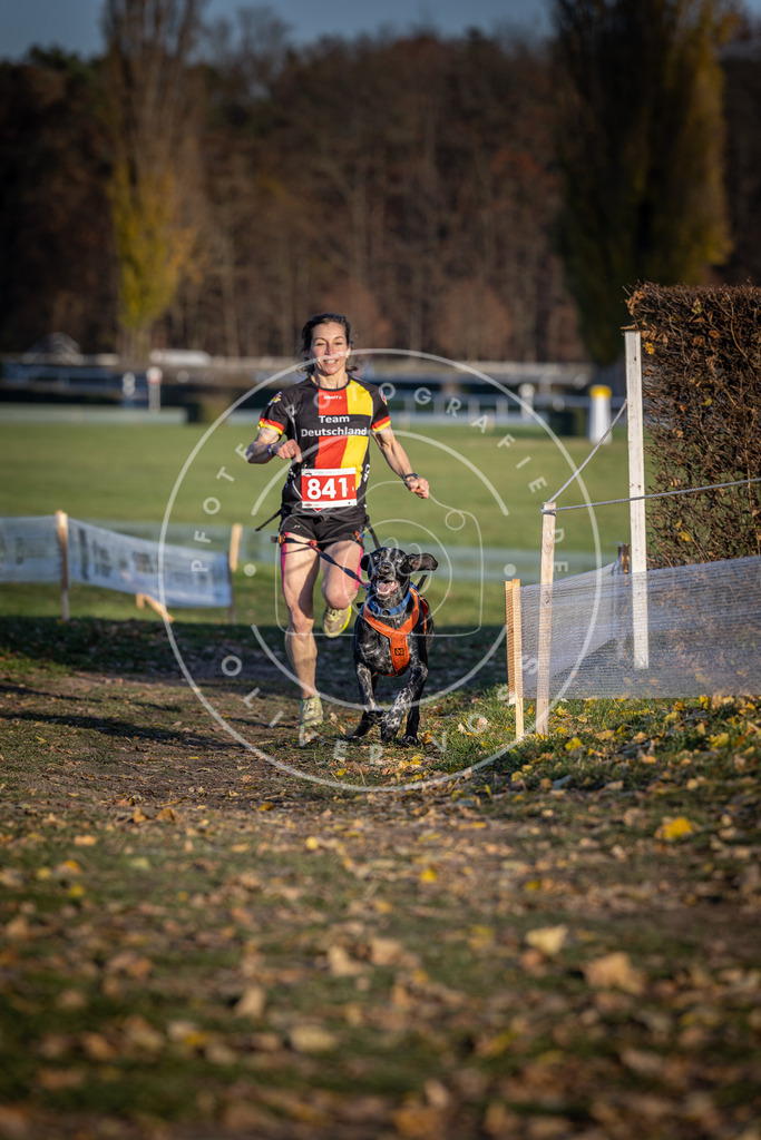 CaniXpix_DV3A3651 | Hundefotografie, Tierfotograf, Pfotenfotografie, Fotoshooting Hund, Hunde Portrait, Hundesport, Hundeportraits, Heideshooting, Hunde, Sportfotograf, Hundefotograf, Turnierhundsport, THS,  - Realisiert mit Pictrs.com