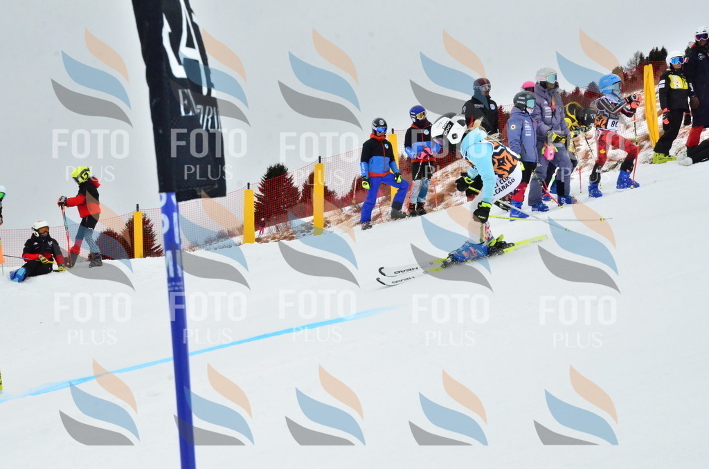 _ELE3368 | holidayphoto