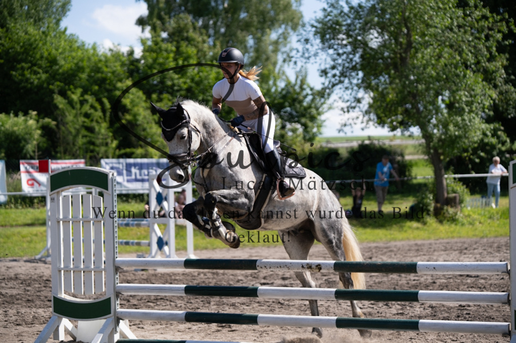 A7V03484 | Pferdefotograf