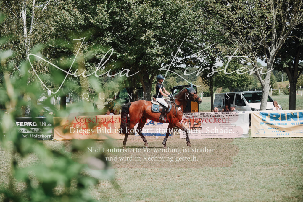 DSC_5679 | Pferde- und Turnierfotografie in Westsachsen. Pferdeportraits, Auftragszeichnungen und intuitive Kunst.