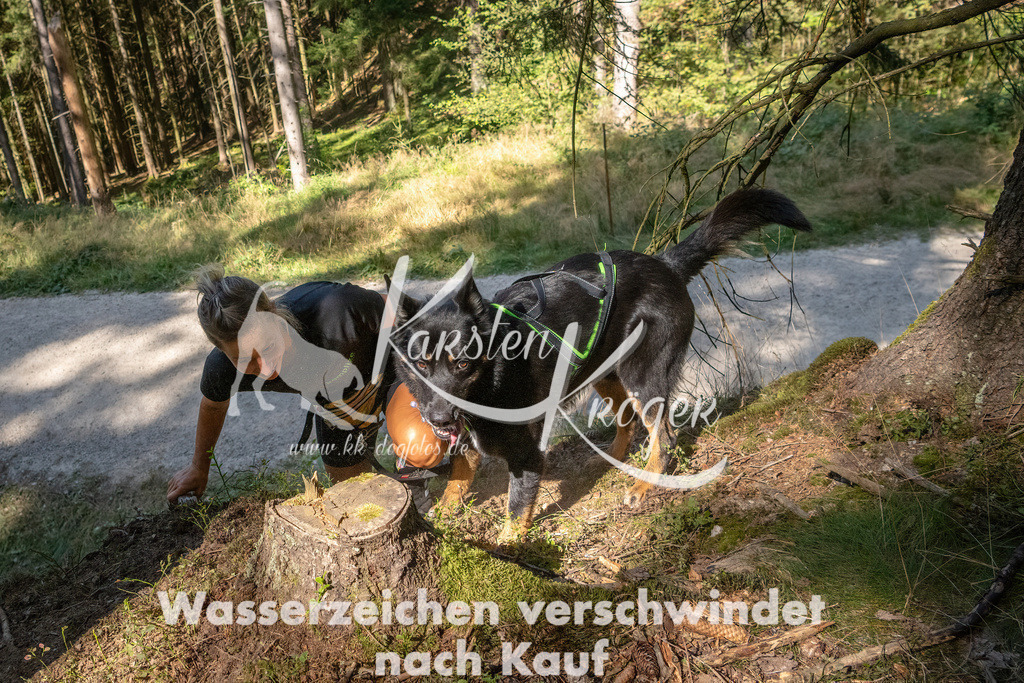1241_ZZ94922 | kk-dogfotos