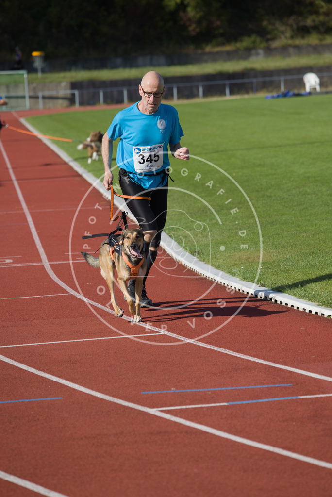 0L8A9246 | Hundefotografie, Tierfotograf, Pfotenfotografie, Fotoshooting Hund, Hunde Portrait, Hundesport, Hundeportraits, Heideshooting, Hunde, Sportfotograf, Hundefotograf, Turnierhundsport, THS,  - Realisiert mit Pictrs.com