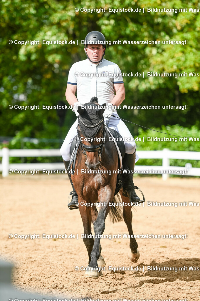 20230716_01_Dressurprüfung Kl.M_0557 | equistock