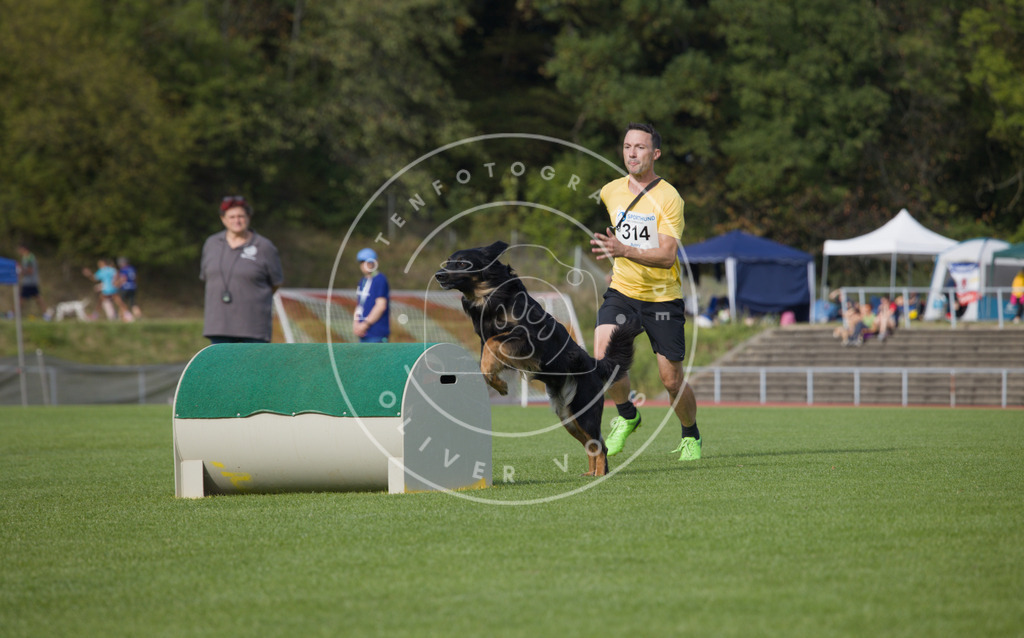 0L8A3735 | Hundefotografie, Tierfotograf, Pfotenfotografie, Fotoshooting Hund, Hunde Portrait, Hundesport, Hundeportraits, Heideshooting, Hunde, Sportfotograf, Hundefotograf, Turnierhundsport, THS,  - Realisiert mit Pictrs.com