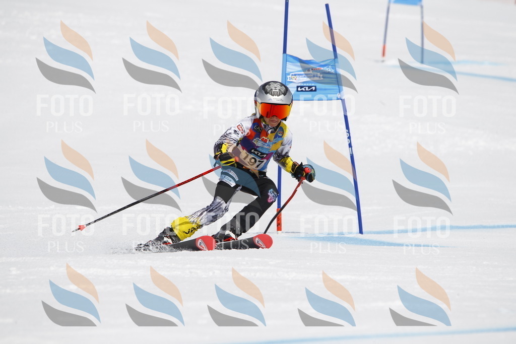 _U3G5135 | holidayphoto