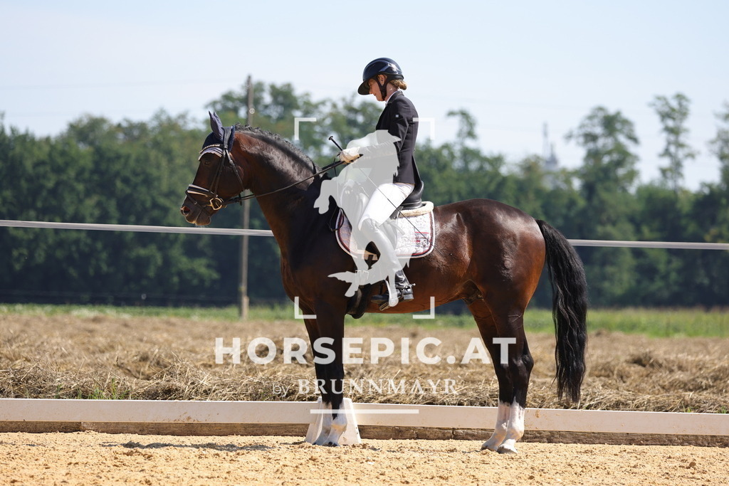 0P6A9608 | Willkommen bei Brunnmayr - Design & Fotografie – Ihrem Spezialisten für Reitturniere und Pferdeveranstaltungen in Oberösterreich, Salzburg und Bayern! Seit über 17 Jahren sind wir leidenschaftlich dabei.