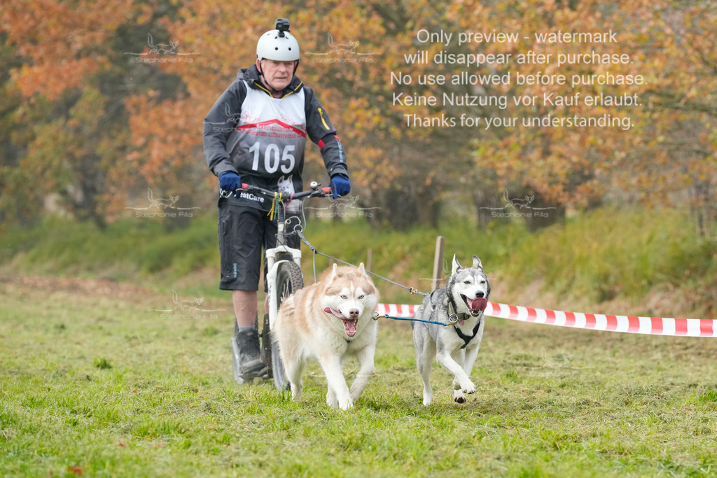 Visbeck_Sa_DS2DR2-72 | stephaniefillaphotographie - Realisiert mit Pictrs.com