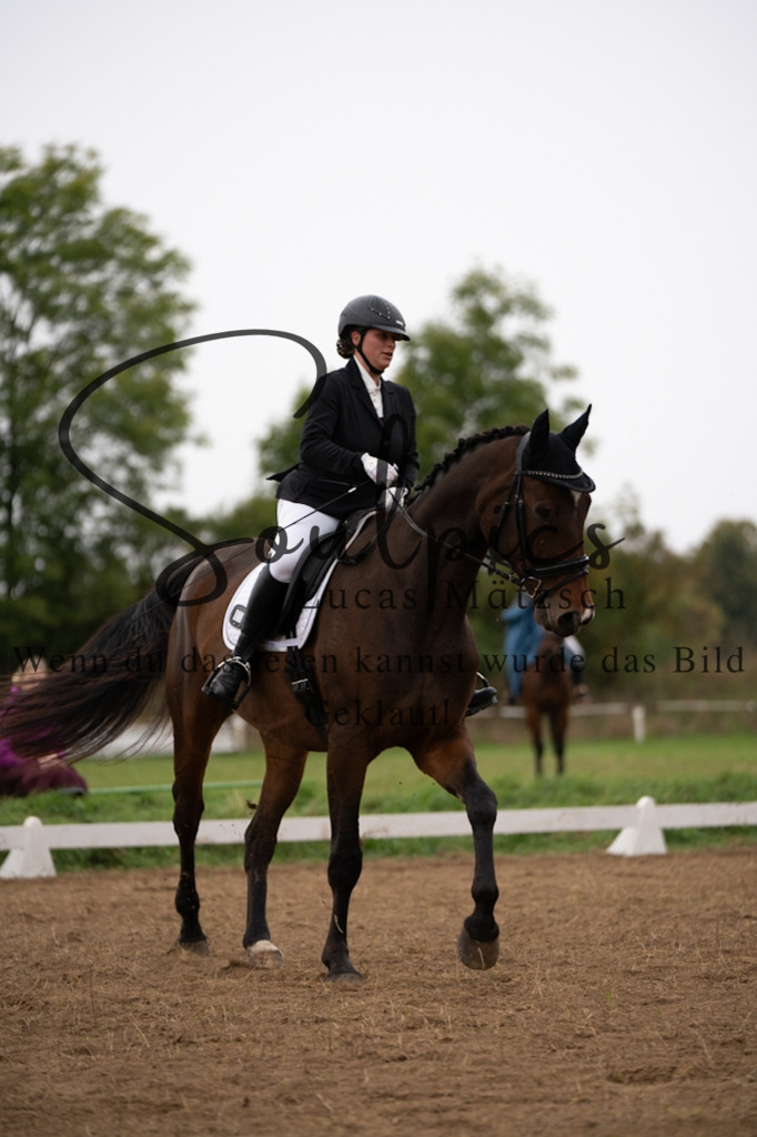 A7V05581 | Pferdefotograf