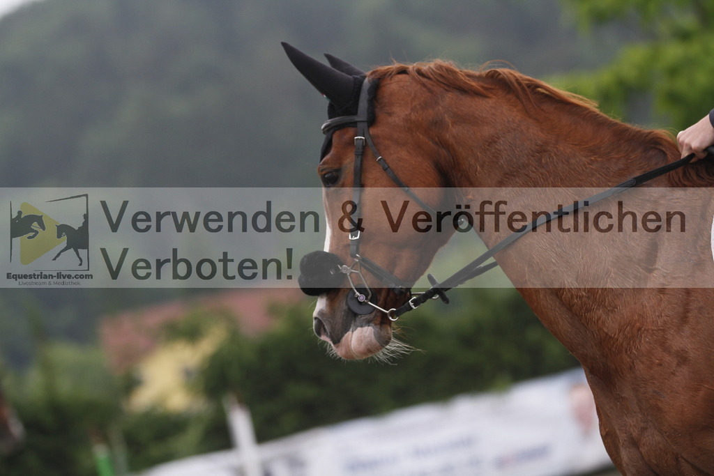 _MG_6598 | equestrian-live-com