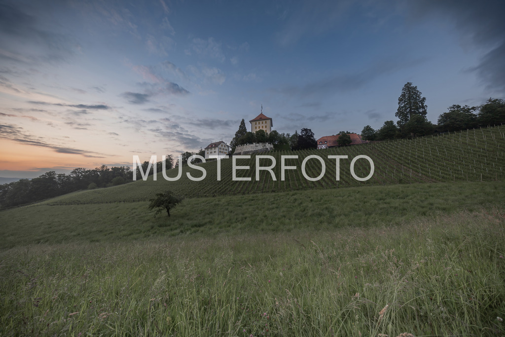 whispers above the vines - switzerland | Authentische Landschafts- & Wildtierfotografie aus der Schweiz. Hochwertige Wandbilder, Fine-Art-Prints und Wunschmotive nach Auftrag – sorgfältig entwickelt im Grumagraphy-Style