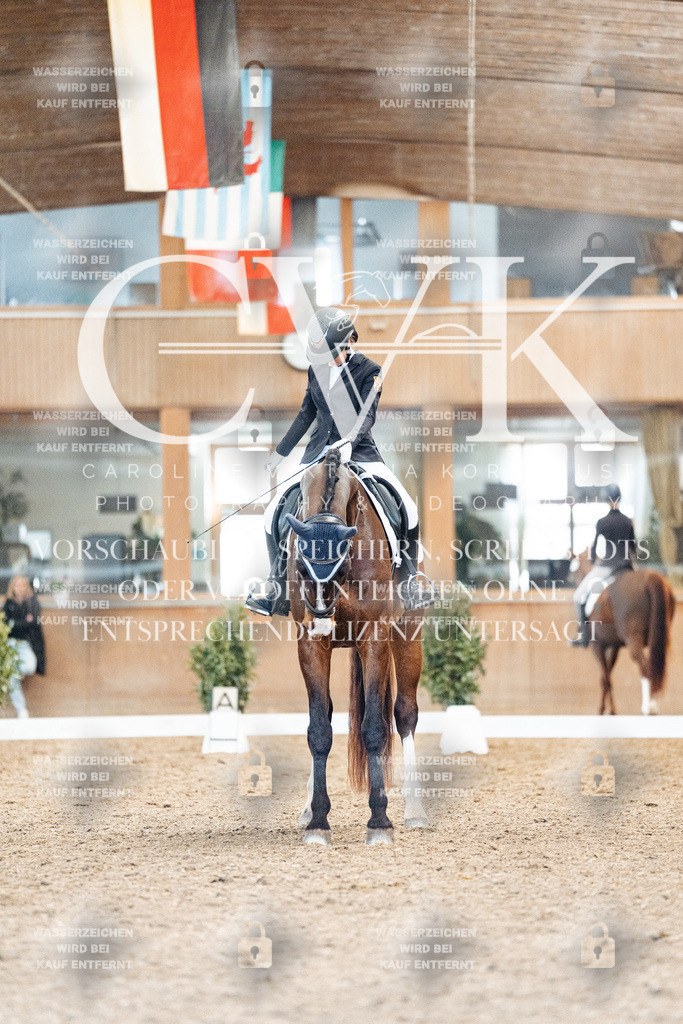 CK908401 | Turnierfotografie Pferdefotografie Trier Rheinland-Pfalz Pferdesport Reitsport Tierfotografie Sportfotografie Pferdevideo Pferdevideografie Equestrianvideography equestrianphotography  - Realisiert mit Pictrs.com