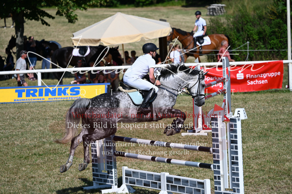 DSC_1869 | Pferde- und Turnierfotografie in Westsachsen. Pferdeportraits, Auftragszeichnungen und intuitive Kunst.