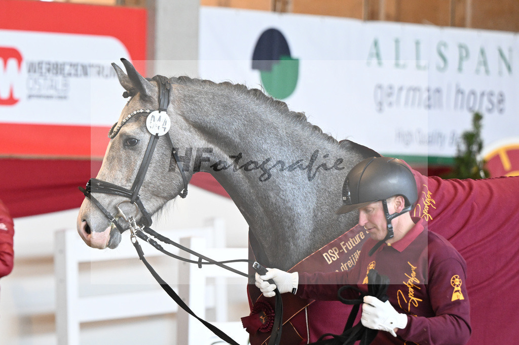 Kat-Nr. 44 Harry v. Hickstead White_Koeniger_16250788 | hf-fotografie - Realizzato con Pictrs.com