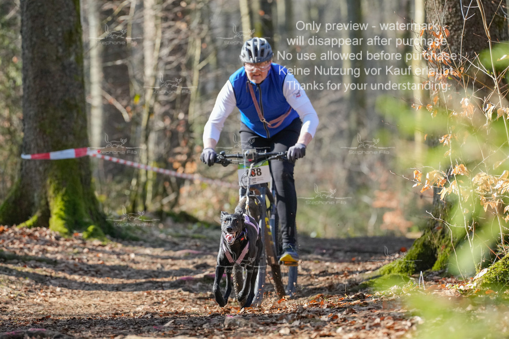 Bike_So-92 | stephaniefillaphotographie - Realisiert mit Pictrs.com