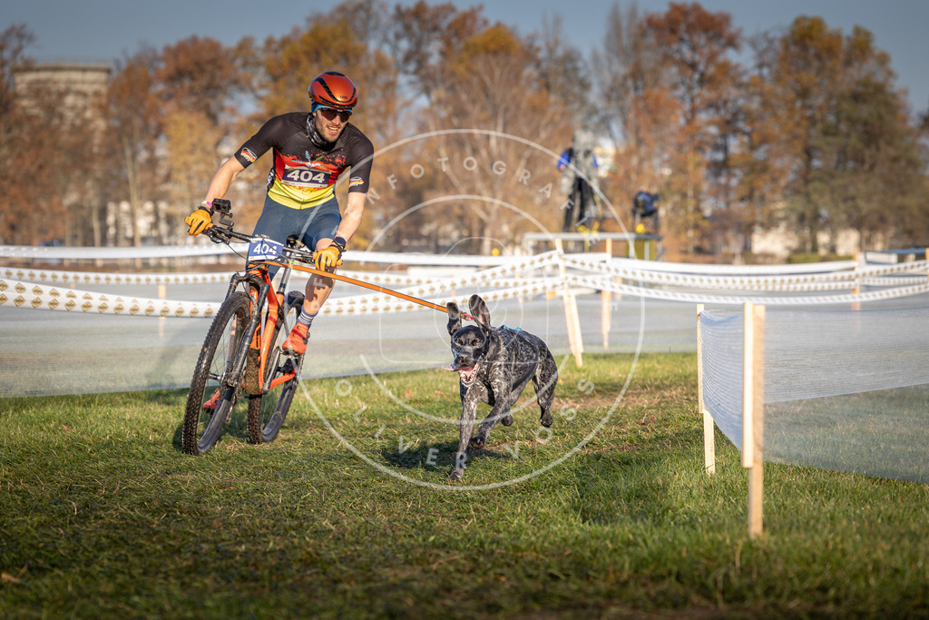 CaniXpix_0L8A3984 | Hundefotografie, Tierfotograf, Pfotenfotografie, Fotoshooting Hund, Hunde Portrait, Hundesport, Hundeportraits, Heideshooting, Hunde, Sportfotograf, Hundefotograf, Turnierhundsport, THS,  - Realisiert mit Pictrs.com