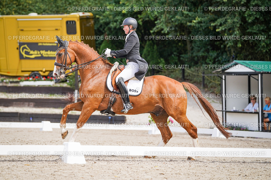 DSC06478 | Pferdegrafie