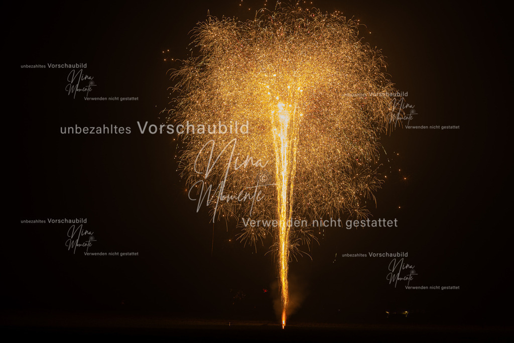 _16A2201-1 | Einzigartige Fotos von Hunden & Menschen –Actionfotos, Portraits, Vereinsaufnahmen & Paarshootings – authentisch, lebendig & mit Herz.