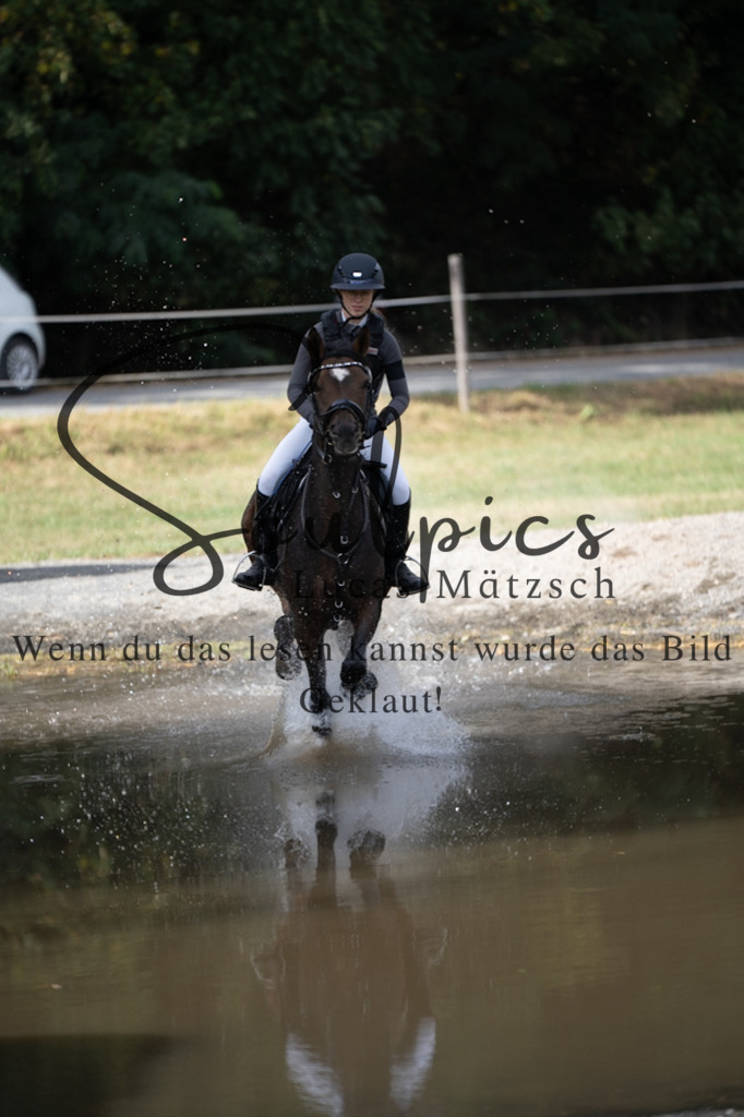 A7V01505 | Pferdefotograf