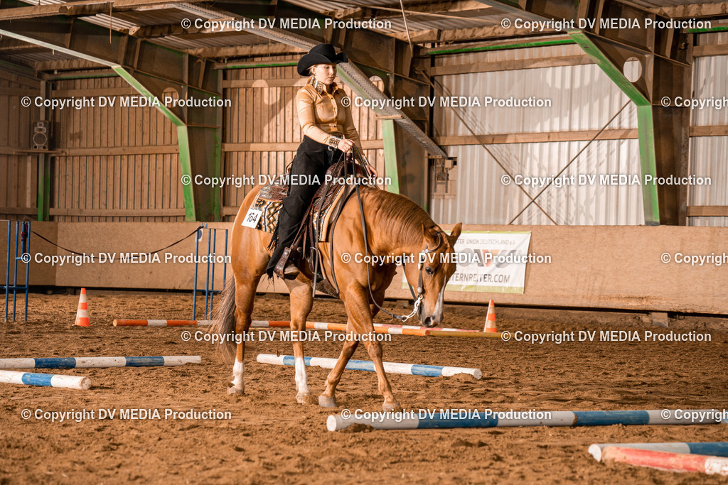 BA300378 | dv-media-shop - Realisiert mit Pictrs.com