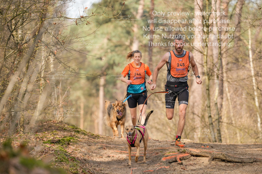 LangeCross_So-354 | stephaniefillaphotographie - Realisiert mit Pictrs.com