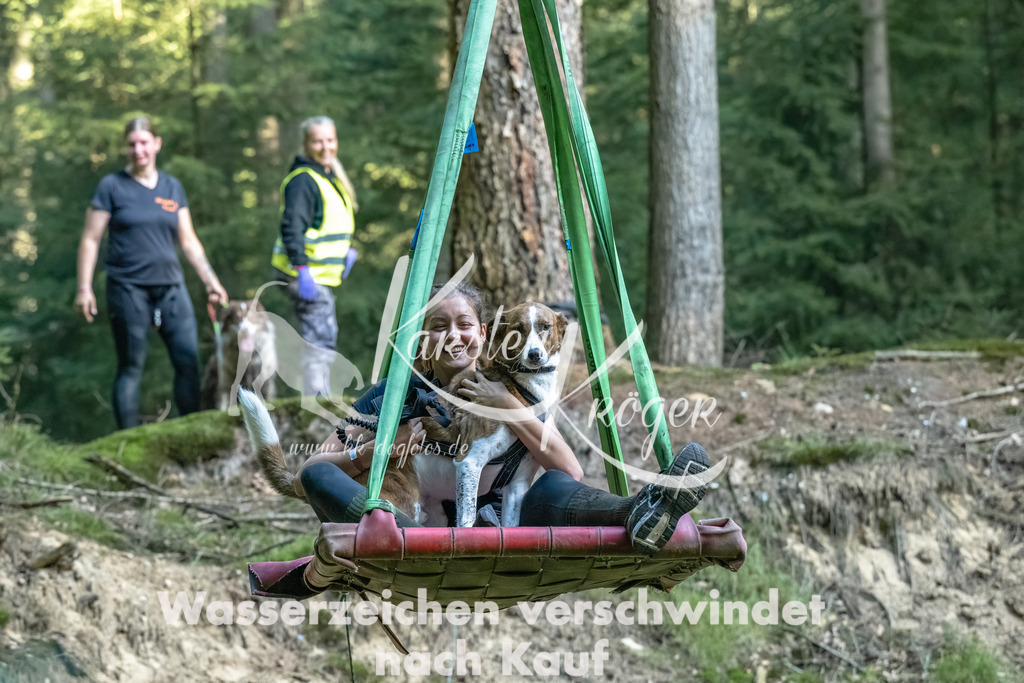 0913_ZZ90631-Bearbeitet | kk-dogfotos