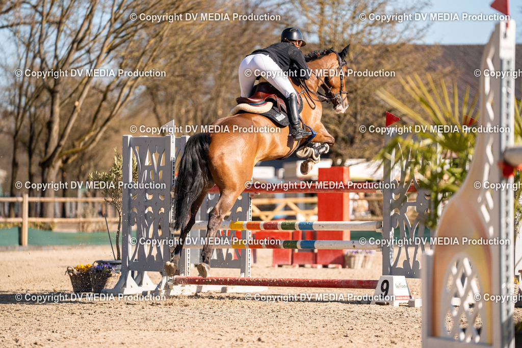 Kranichstein Tag 2-1004 | dv-media-shop - Realisiert mit Pictrs.com