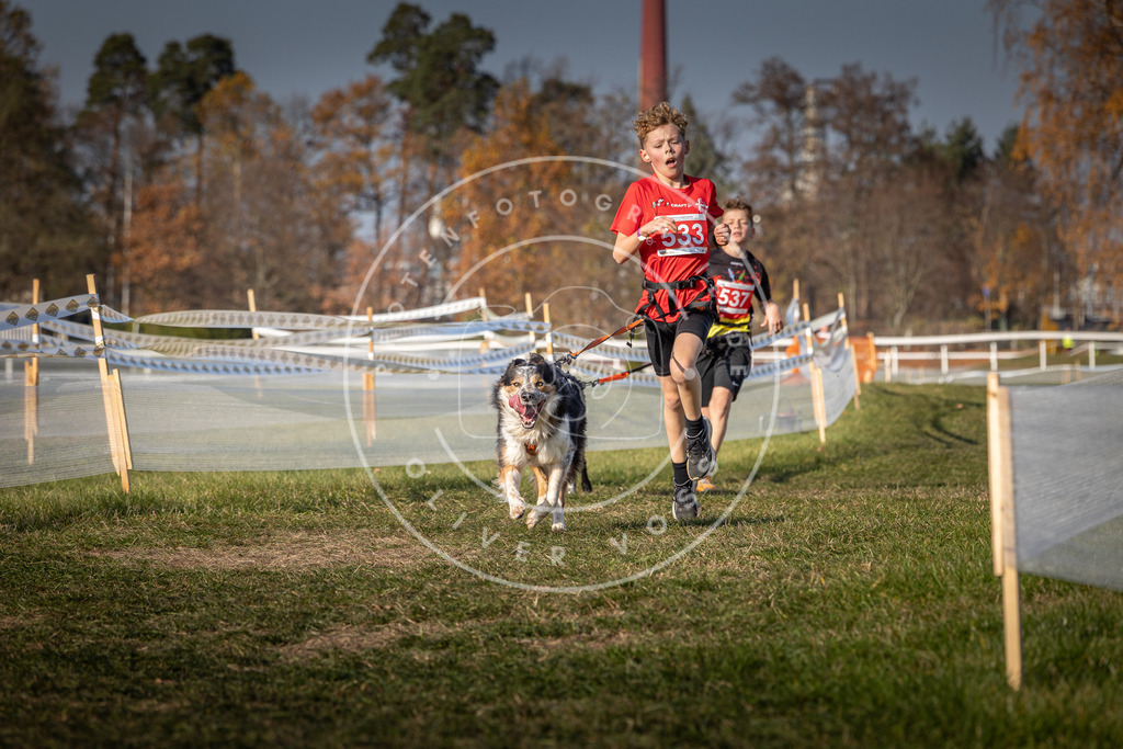 CaniXpix_0L8A8921 | Hundefotografie, Tierfotograf, Pfotenfotografie, Fotoshooting Hund, Hunde Portrait, Hundesport, Hundeportraits, Heideshooting, Hunde, Sportfotograf, Hundefotograf, Turnierhundsport, THS,  - Realisiert mit Pictrs.com