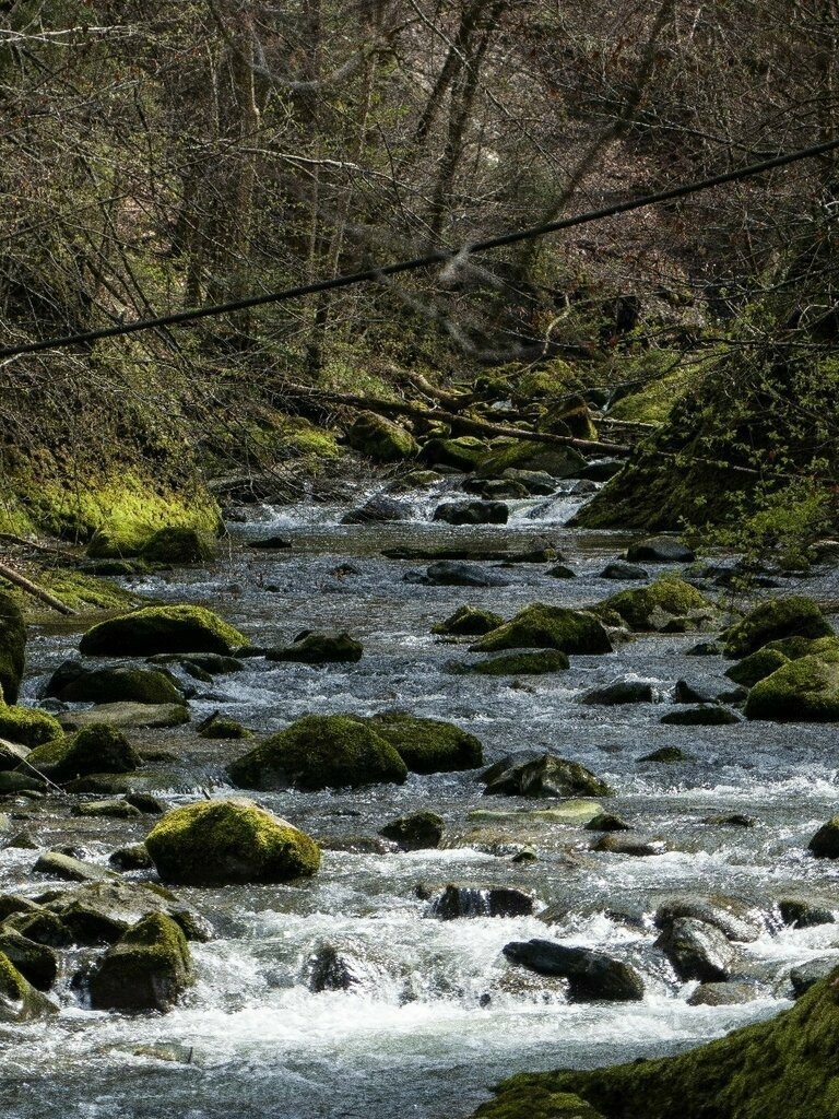 PSX_20230423_164559 | mtkfoto_ - Realisiert mit Pictrs.com