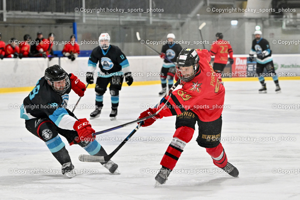 Lendhafen Seelöwen vs. Spartans Althofen | #88 Katnik Sebastian Lendhafen Seelöwen, #89 Pirmann Markus Spartans Althofen, Lendhafen Seelöwen vs. Spartans Althofen, Lendhafen Seelöwen vs. Spartans Althofen am 14.02.2025 in Ferlach (HTC Eishalle Ferlach), Austria, (Photo by Bernd Stefan)