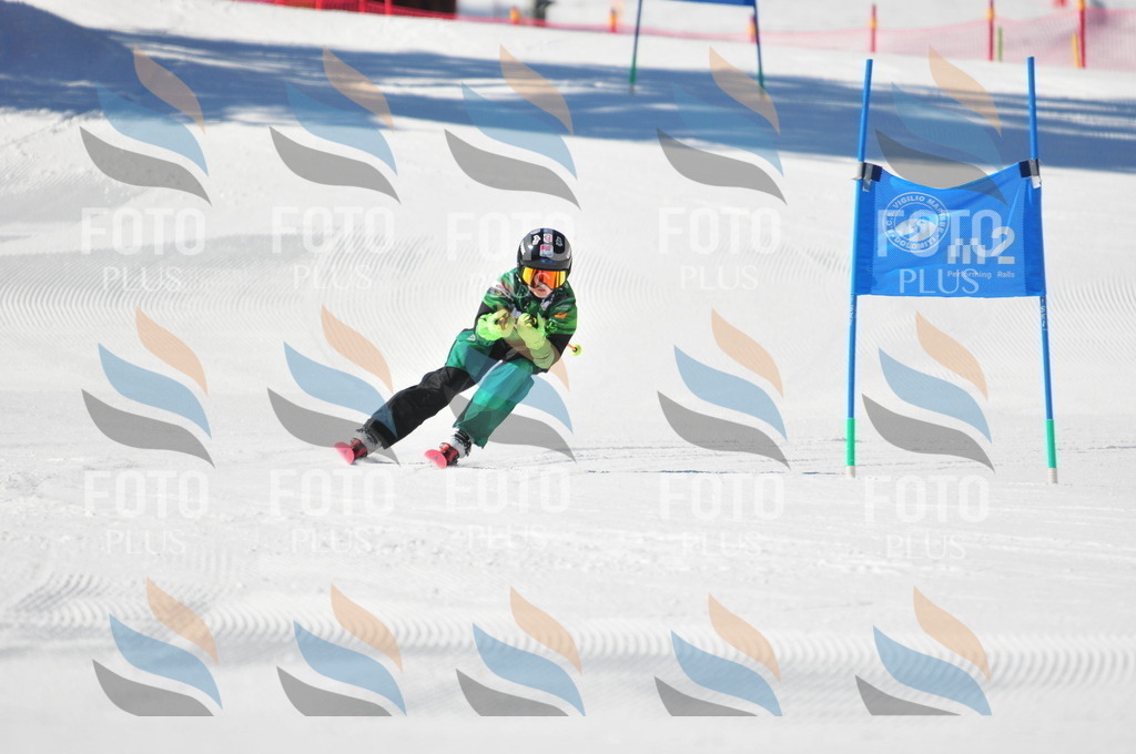 C3068 | holidayphoto