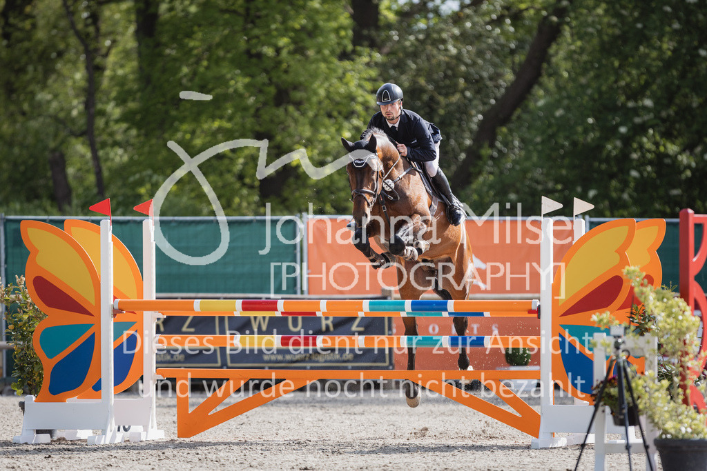 230516_Mühlen_05SprPf-L-513 | Deine schönsten Turniermomente als professionelle Fotos! Entdecke hochwertige Pferdesport-Fotografie im Online-Shop. Jetzt Fotos finden & bestellen!