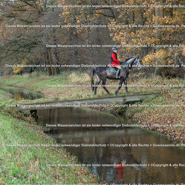 DAJ06328 | Eventfotografie, Hochzeitsreportagen, Getting ready, Engagement, Hochzeitsfotograf, Paarfotografie, Porträts Mensch und Tier, Schleppjagden, Jagdfotos, Musicals, Konzerte, Back stage + Front of stage Reports, Tourbegleitung