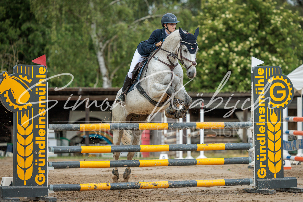 20260530-_3LI2692 | Tierfotografie Pferde, Hunde, Katzen, Haustiere.
Turnierfotografie Reitturniere, Reiten, Springreiten, Dressur in Hanau, dem Main-Kinzig-Kreis und dem Rhein-Main- Gebiet um Frankfurt