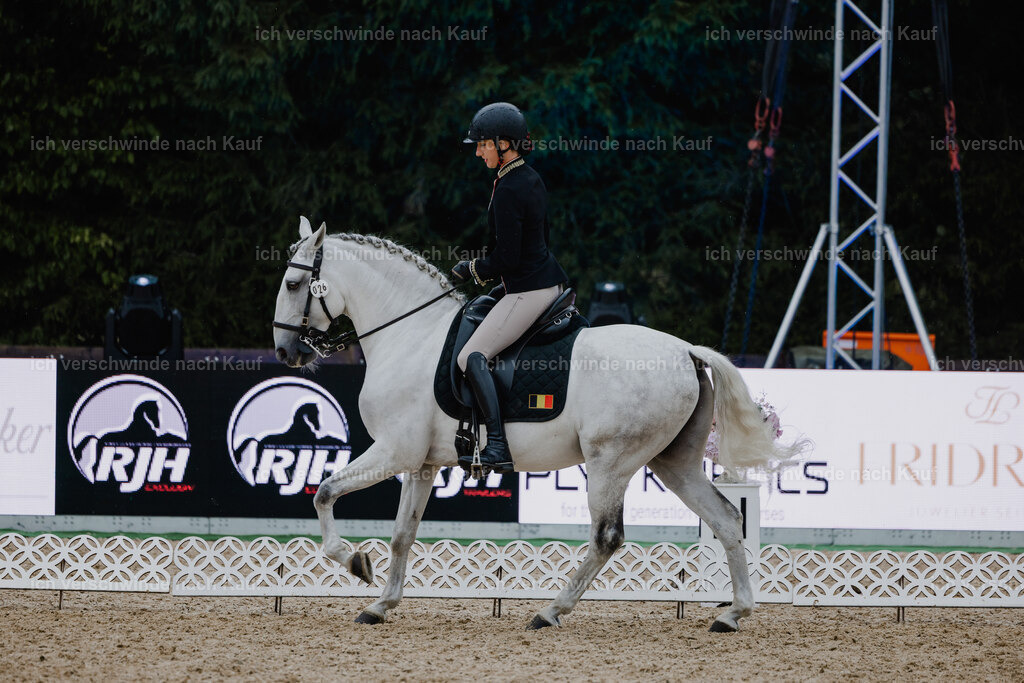 Virginie12FHC2025-25179 | working equitationturnier fotograf videograf stoibphotography marixx film working equitation deutschland reitsport turnierfotografie eventfotografie equestrian events