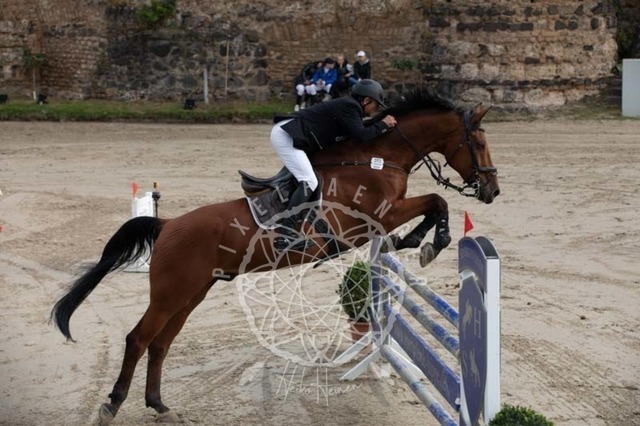 2B4A2052 | pixelfaenger - Realisiert mit Pictrs.com