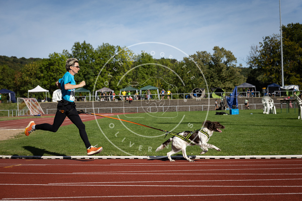 Pfotenfotografie_DV3A8442 | Hundefotografie, Tierfotograf, Pfotenfotografie, Fotoshooting Hund, Hunde Portrait, Hundesport, Hundeportraits, Heideshooting, Hunde, Sportfotograf, Hundefotograf, Turnierhundsport, THS,  - Realisiert mit Pictrs.com