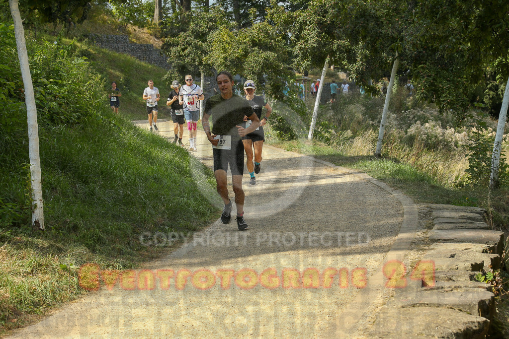 250824_1500_EX1_8269 | Sportfotografie im Rhein-Sieg Kreis, Köln, Bonn, NRW, Rheinland Pfalz, Hessen, etc. Unser Tätigkeitsfeld umfasst den Laufsport vom Volkslauf über den Marathon, Duathlon, Triathon bis zum Ultralauf wie Kölnpfad Ultra oder Schindertrail.