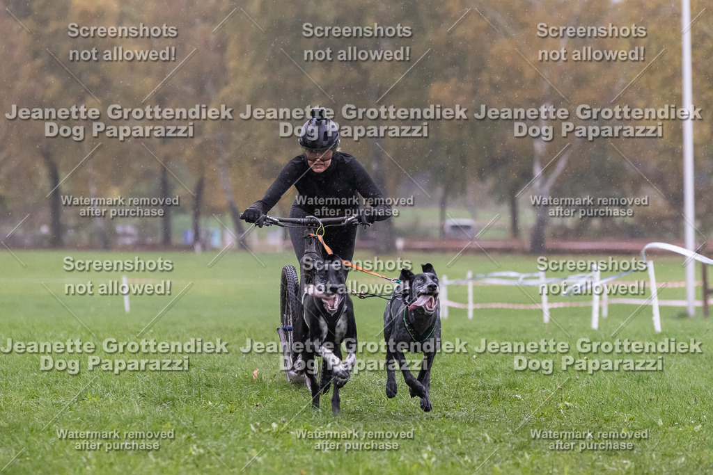 Dog Paparazzi - SD CaniX Championship 2025-876 | Dog Paparazzi Jeanette Grottendiek Fotografie & Videografie - Realisiert mit Pictrs.com