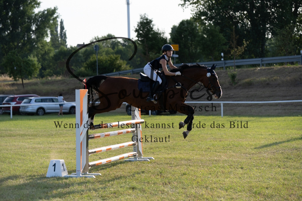 A7V01018 | Pferdefotograf