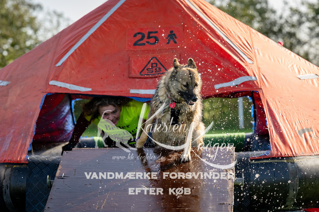 1111-91793 | kk-dogfotos