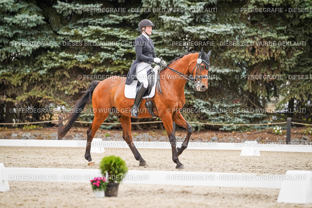 DSC07583 | Pferdegrafie