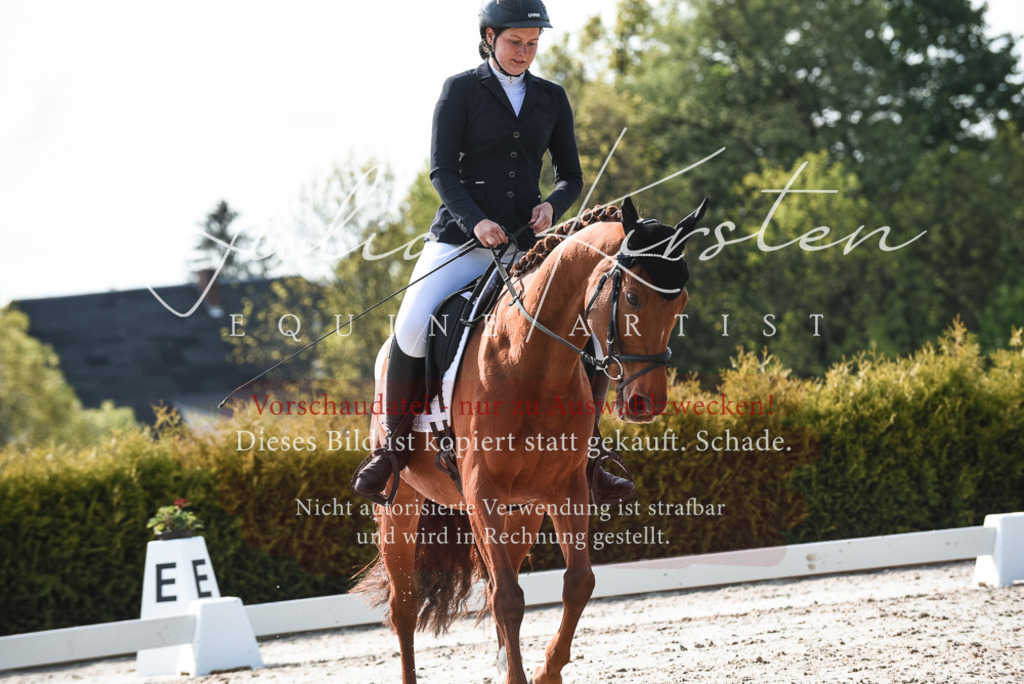 20230518_JK-Röhrsdorf-09-1189 | Pferde- und Turnierfotografie in Westsachsen. Pferdeportraits, Auftragszeichnungen und intuitive Kunst.