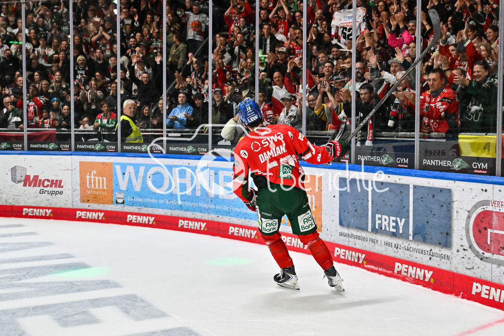 Augsburger Panther - Kölner Haie | Glückliche Augsburger Panther feiern den Heimsieg gegen Köln mit den heimischen Fans / DEL: Augsburger Panther - Kölner Haie; Curt Frenzel Stadion am 26.09.2025 / Riley DAMIANI (Augsburger Panther #19)